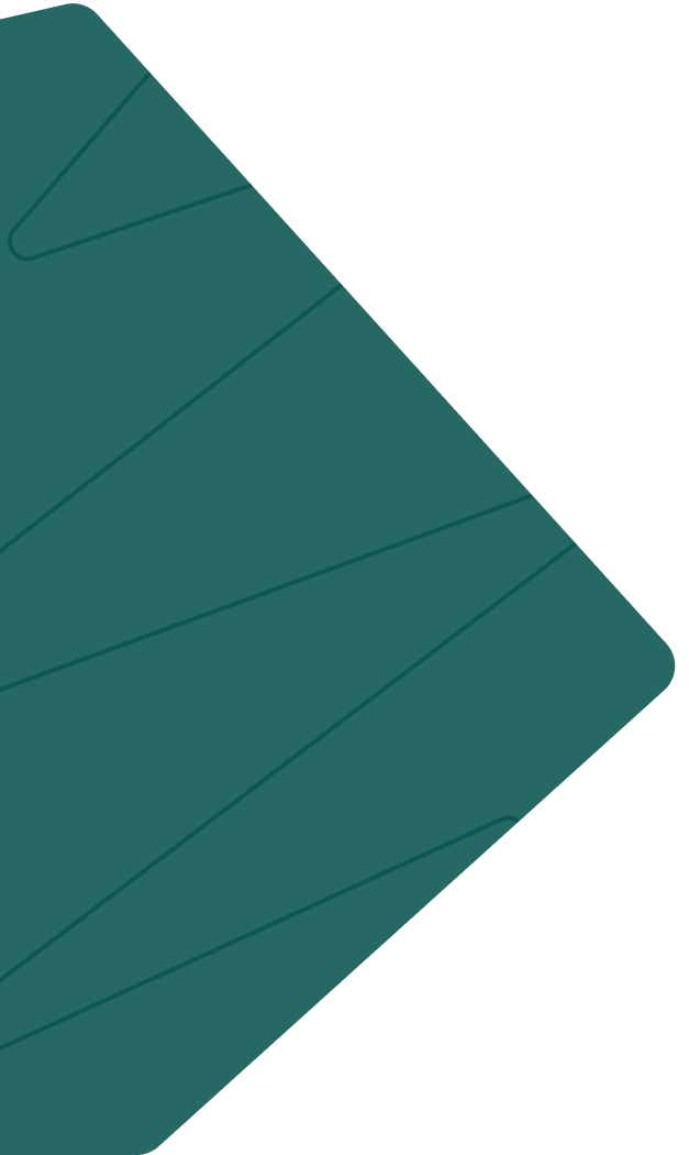From Onboarding to Optimized