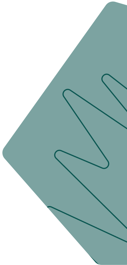 From Onboarding to Optimized